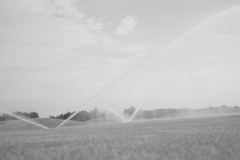 IMG_1288