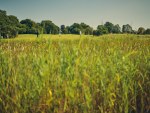 20250718_EMV_Golf_Saaremaa_JM_0004