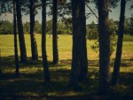 20250718_EMV_Golf_Saaremaa_JM_0007