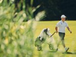 20250719_EMV_Golf_Saaremaa_JM_0123