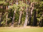 20220807_Golf_EMV_Day3_PBGL_JM_0074