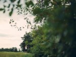 20250720_EMV_Golf_Saaremaa_JM_0049