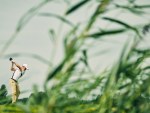 20260719_Estonian_Championship_WBG_JM_0161