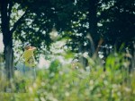 20260717_Estonian_Championship_WBG_JM_0081