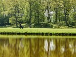 20250530_Estonian_Amateur_Open_EGCC_0009