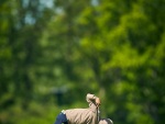 20260529_Estonian_Amateur_Open_EGCC_JM_0016