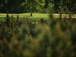 20250531_Estonian_Amateur_Open_EGCC_JM_0053