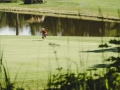 DSCF4213_veeb_golfifoto_kadri-palta