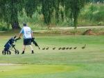 golf1072024-234