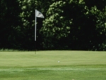 DSCF2909_veeb_golfifoto_kadri-palta
