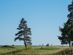 DSCF3303_veeb_golfifoto_kadri-palta
