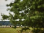 20250606_Estonian_Matchplay_Open_PBGL_JM_0175