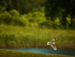 20240607_Estonian_Matchplay_Open_JM_0110