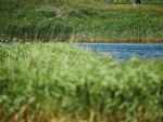 20250607_Estonian_Matchplay_Open_PBGL_JM_0014