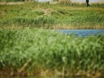 20250607_Estonian_Matchplay_Open_PBGL_JM_0016