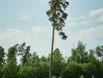 20250607_Estonian_Matchplay_Open_PBGL_JM_0085